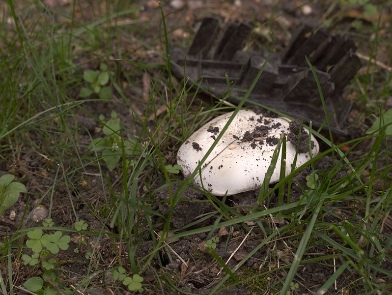 ddb 20110614 010-004