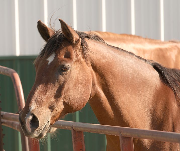 ddb 20110605 010-057