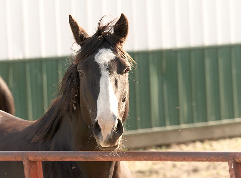 ddb 20110605 010-085