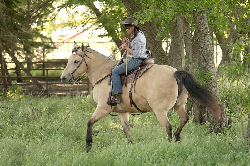 ddb 20110605 010-111