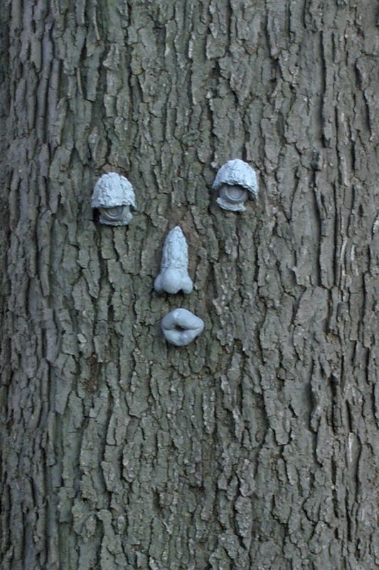 ddb 20111124 010-033