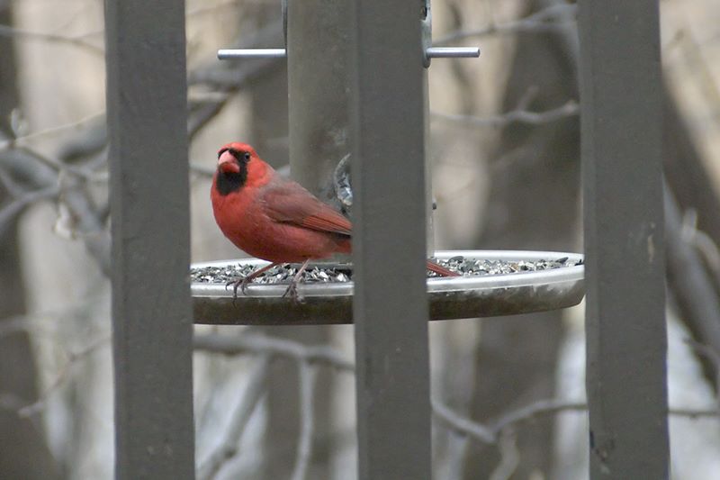 ddb 20111127 010-002