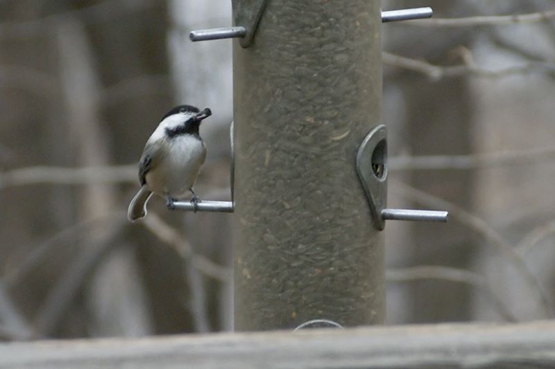 ddb 20111127 010-003