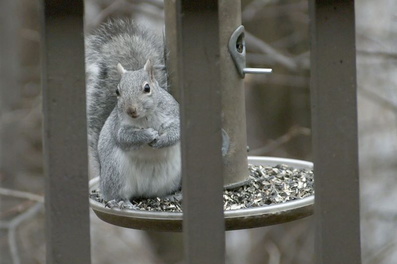 ddb 20111127 010-016