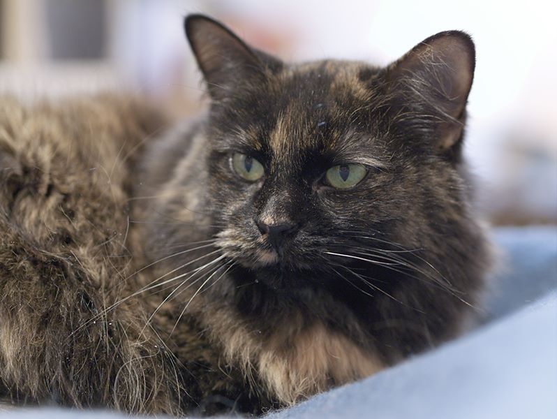 ddb 20120216 010-002