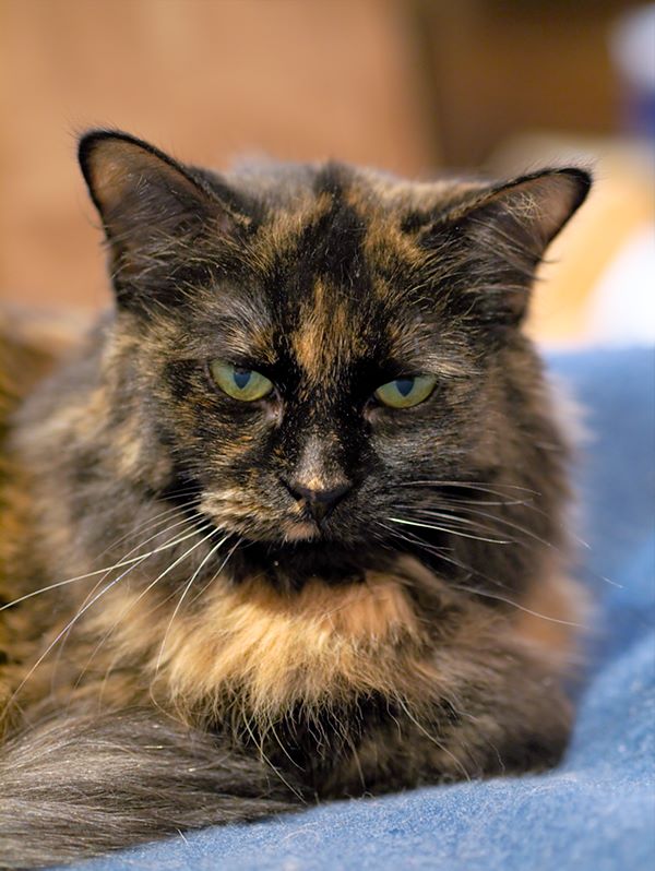 ddb 20120216 010-015