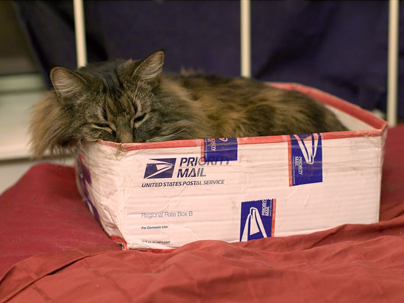 ddb 20120224 010-001