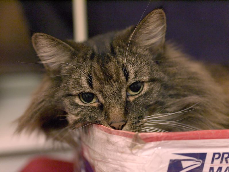 ddb 20120224 010-003