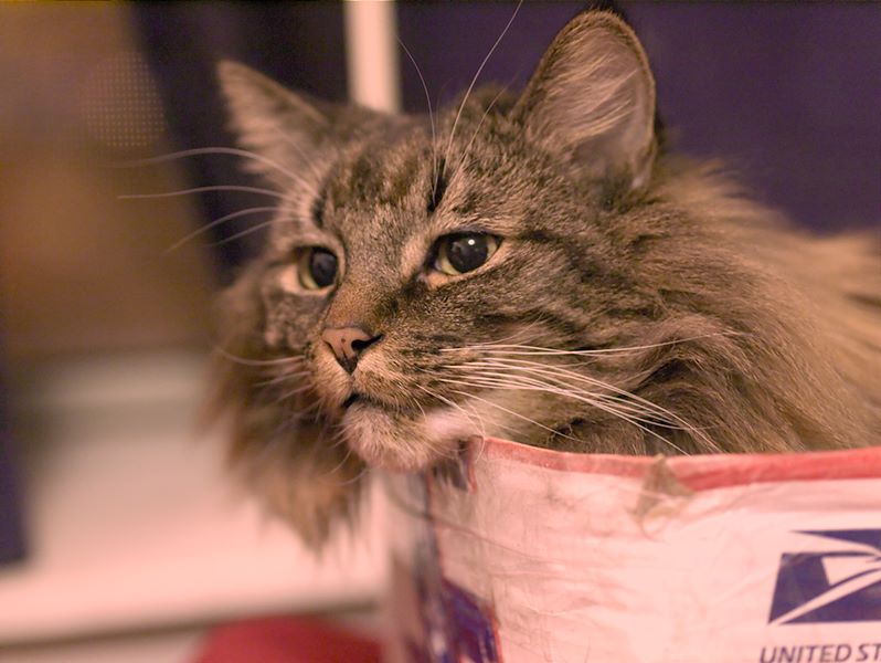 ddb 20120224 010-006