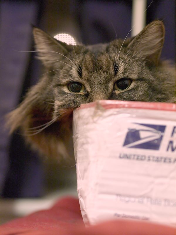 ddb 20120224 010-009