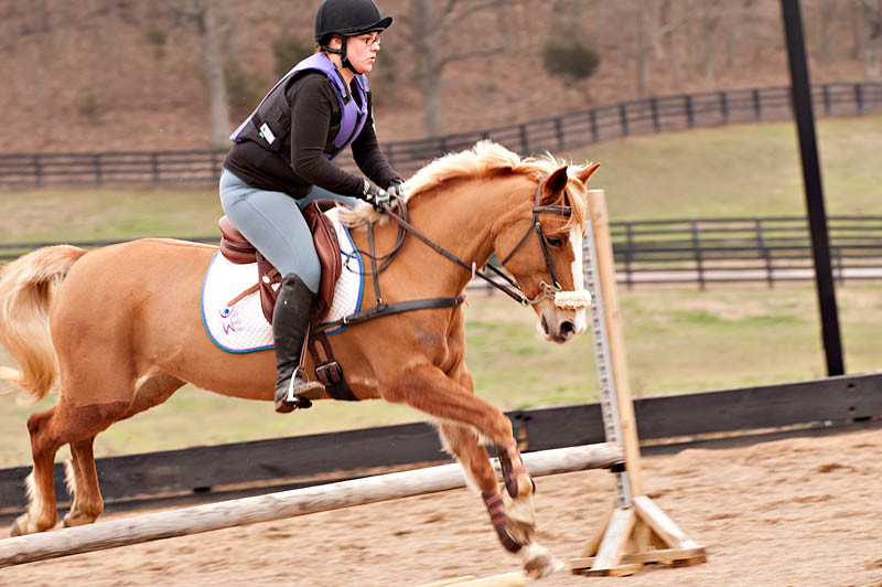 ddb 20120205 010-035