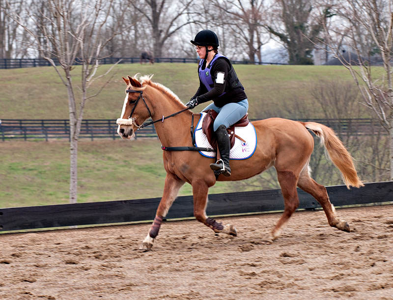 ddb 20120205 010-046