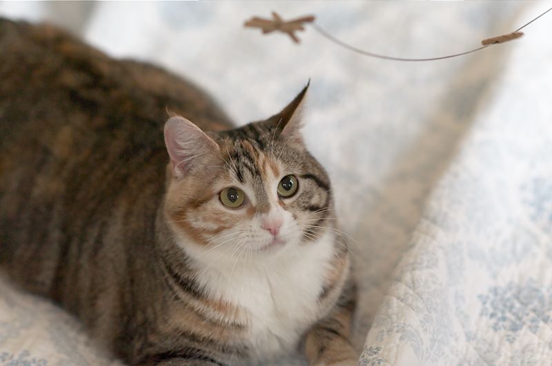 ddb 20120315 010-039