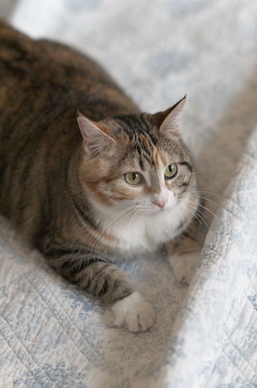 ddb 20120315 010-041