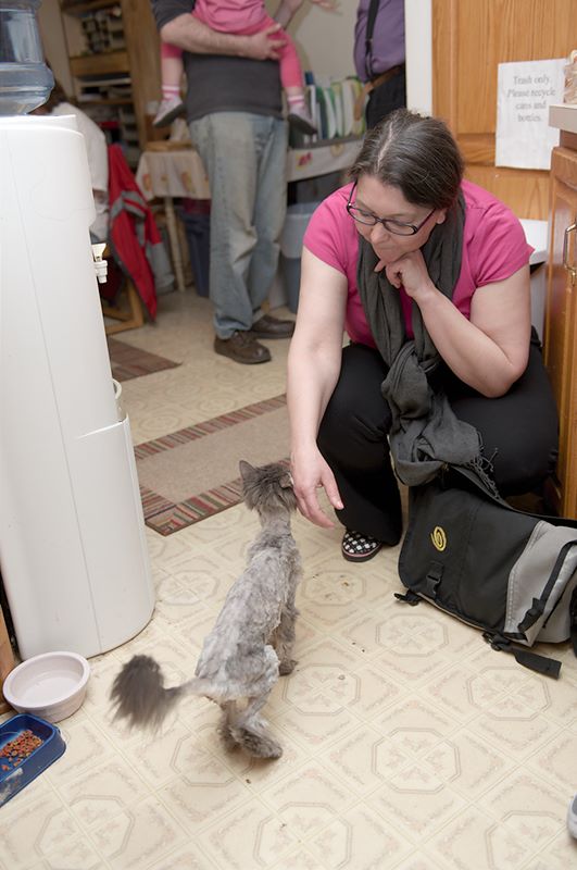 ddb 20120404 010-007