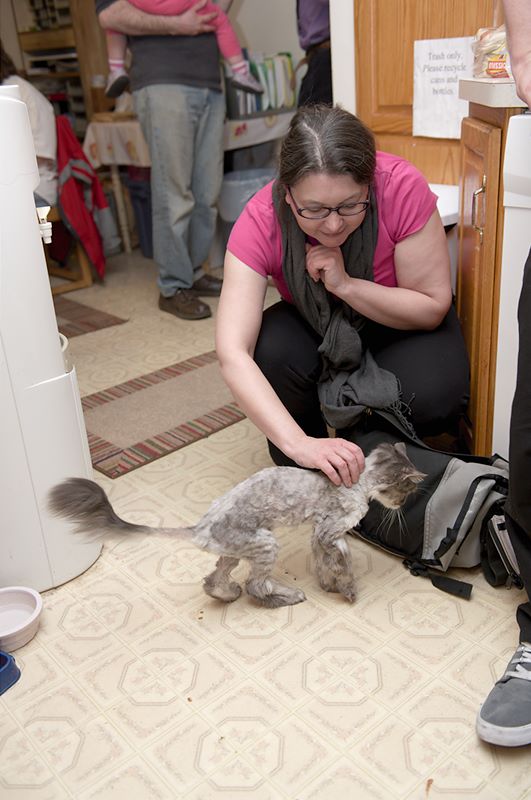 ddb 20120404 010-008