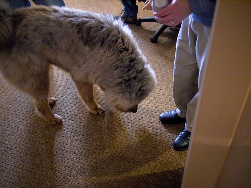 ddb 20120407 010-009