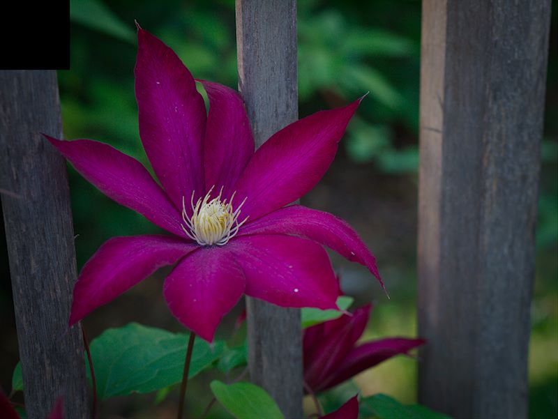 ddb 20120516 020-018