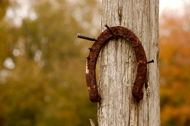 ddb 20121013 010-151