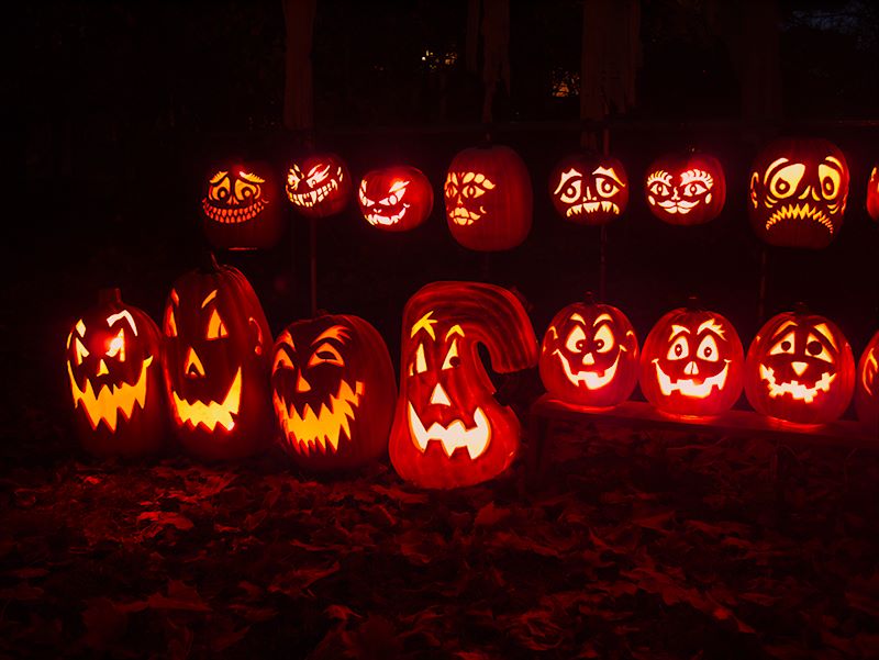 ddb 20121027 010-010