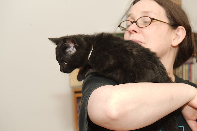 ddb 20121130 010-004