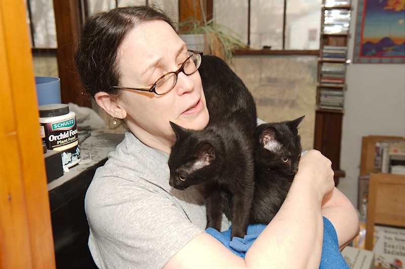 ddb 20121201 010-010