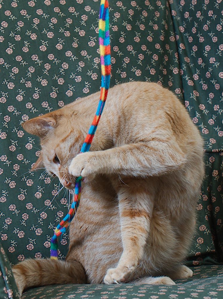 ddb 20130605 010-015