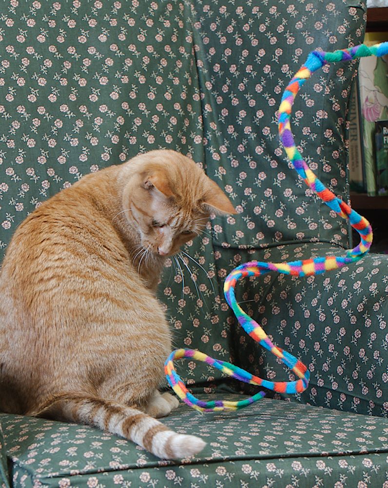 ddb 20130605 010-019