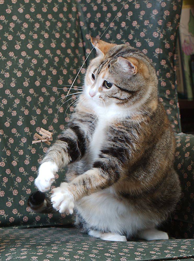 ddb 20130605 010-042