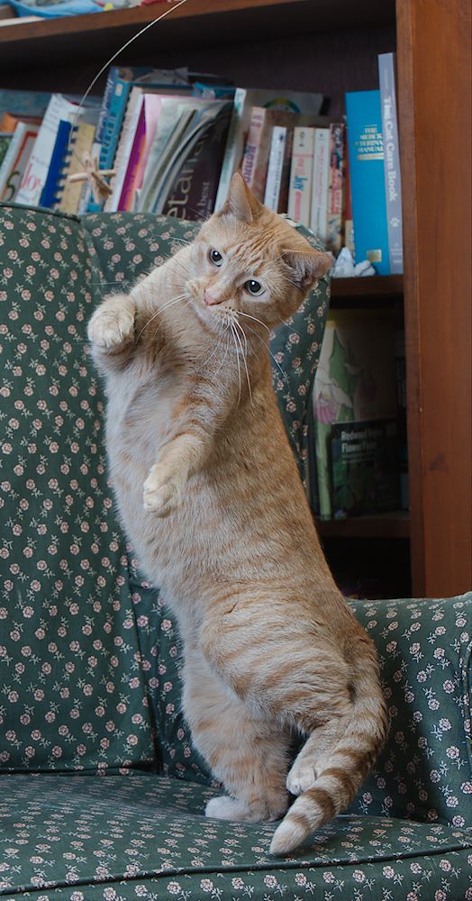 ddb 20130605 010-055