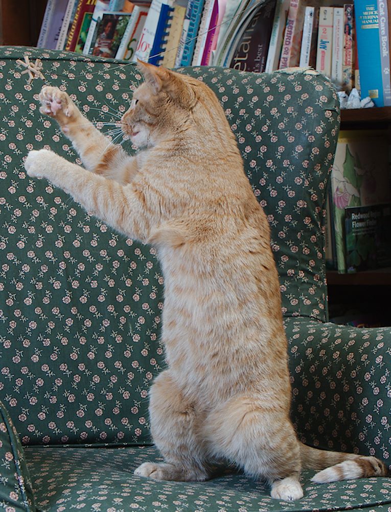 ddb 20130605 010-061