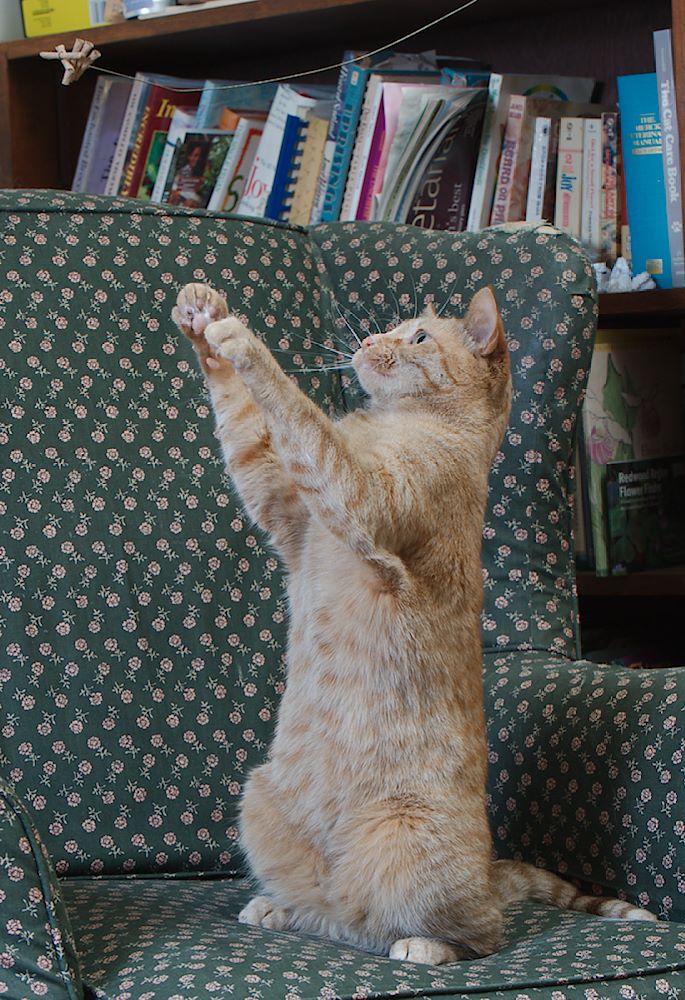 ddb 20130605 010-063