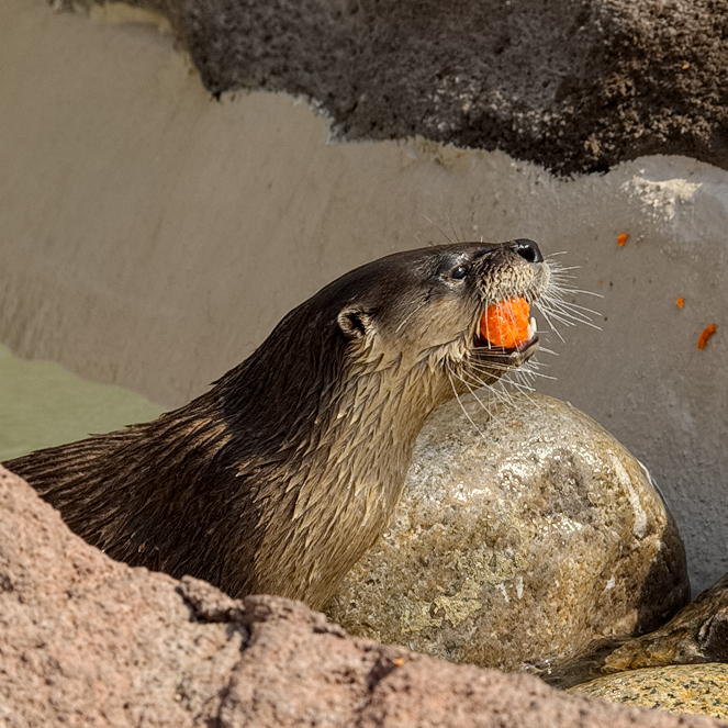 ddb 20130905 020-003