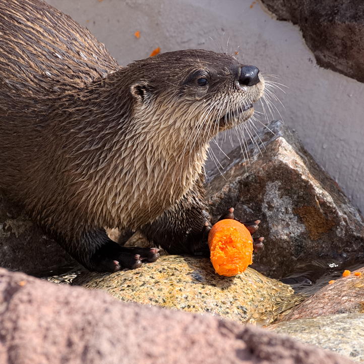 ddb 20130905 020-010