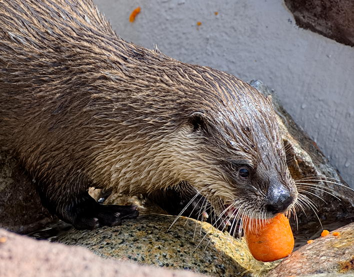 ddb 20130905 020-012