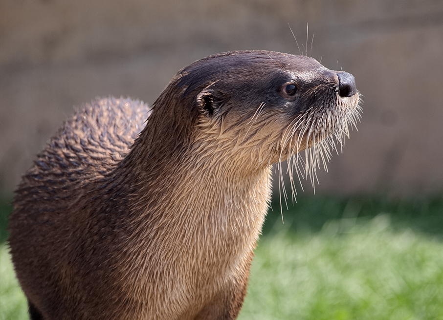 ddb 20130905 020-016