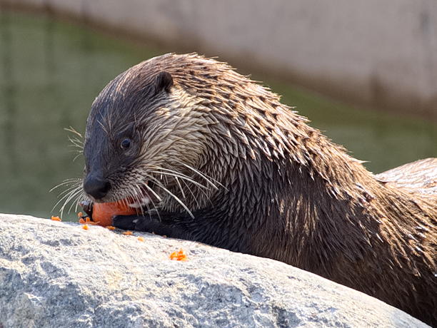 ddb 20130905 020-018