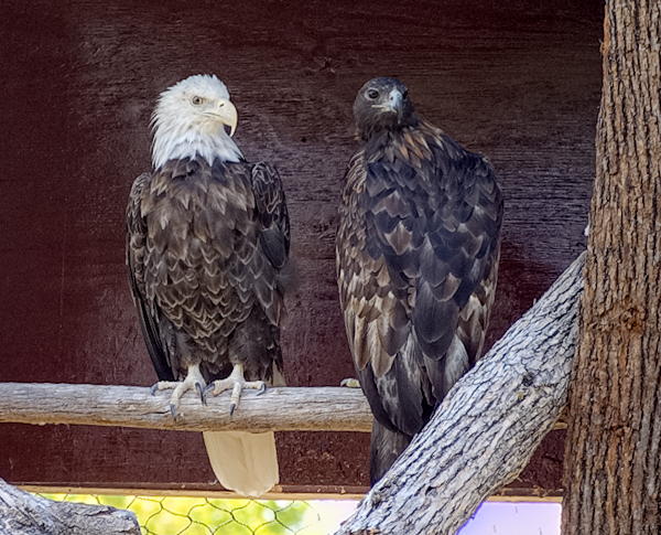 ddb 20130905 020-028