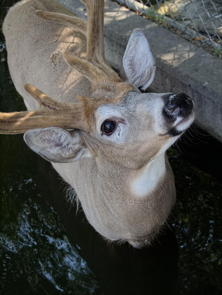 ddb 20130905 020-047