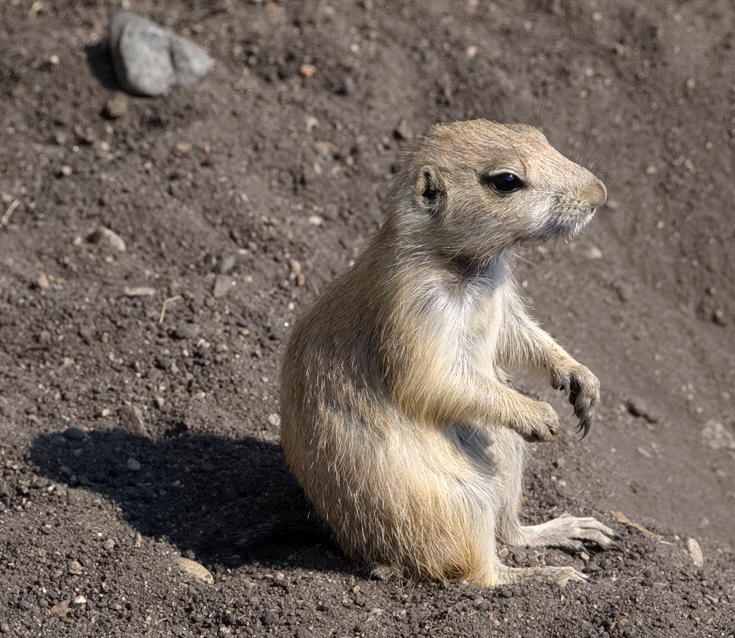 ddb 20130905 020-054