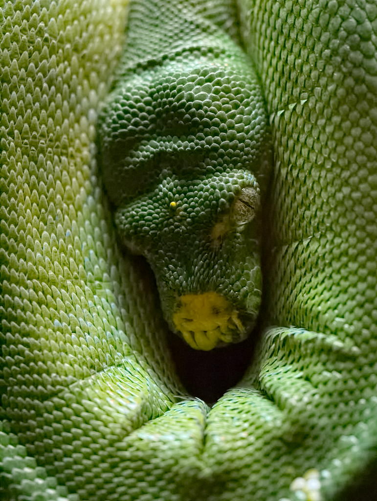 ddb 20130905 020-064