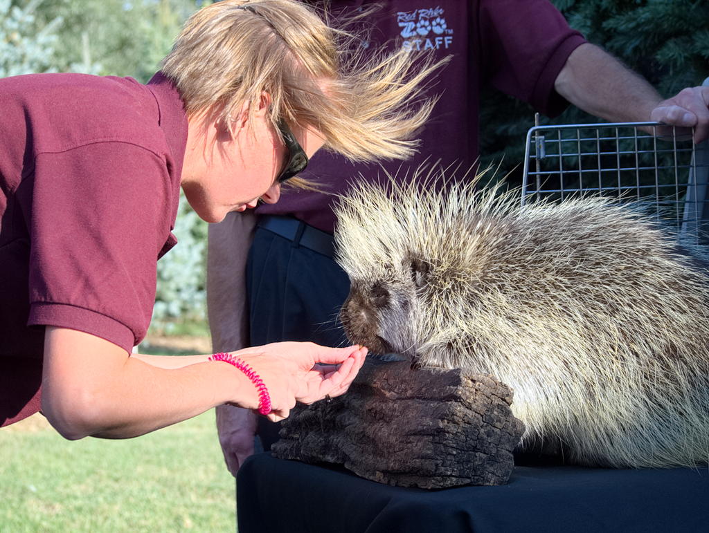 ddb 20130905 020-079