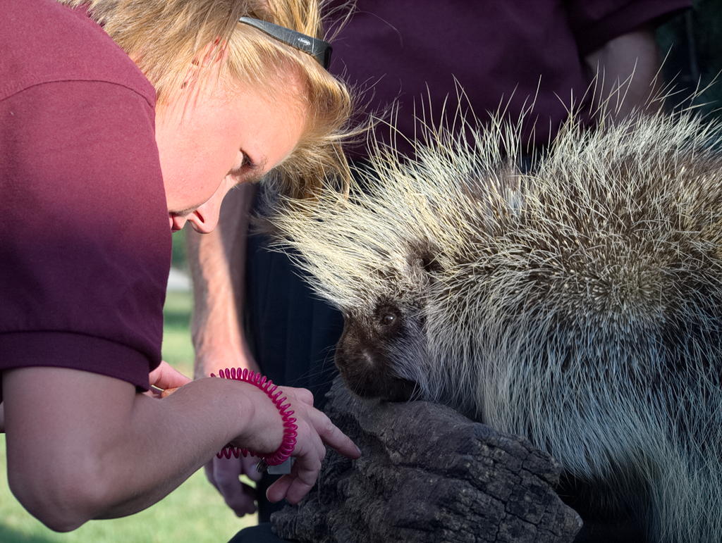 ddb 20130905 020-082