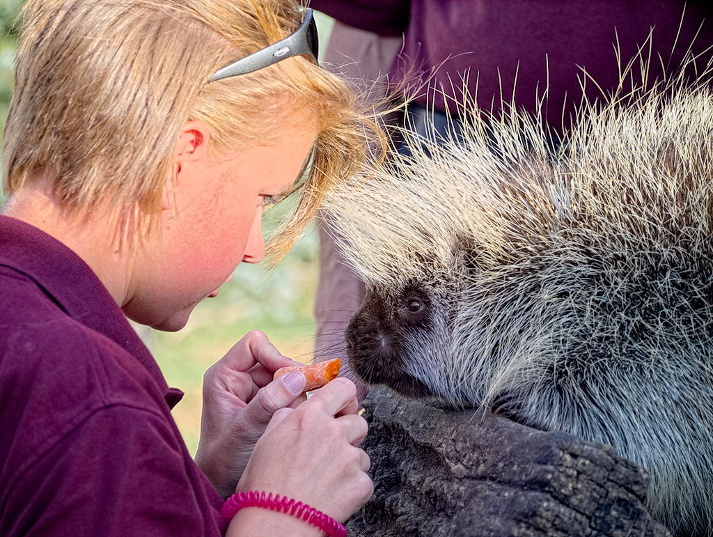 ddb 20130905 020-083