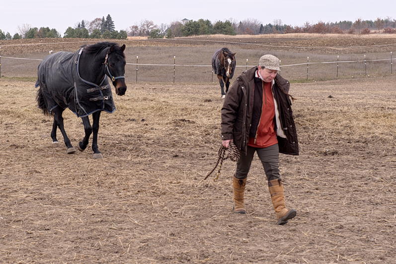 ddb 20131120 010-001