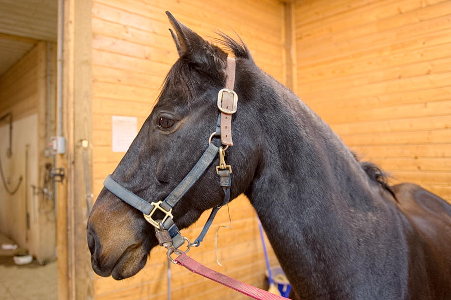 ddb 20131120 010-003