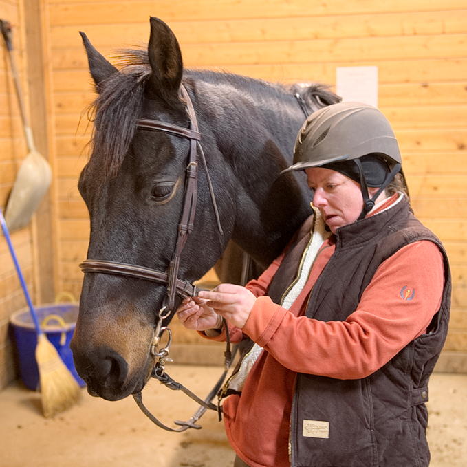 ddb 20131120 010-009