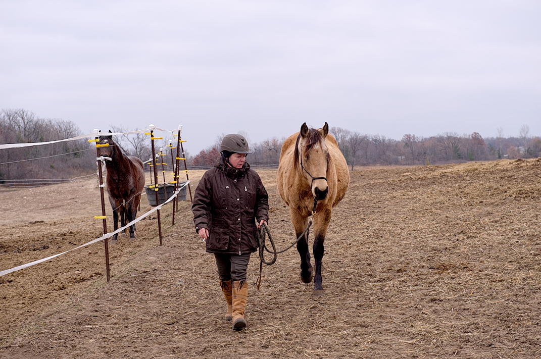 ddb 20131120 010-084