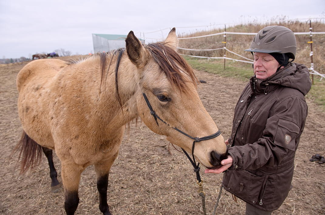 ddb 20131120 010-094