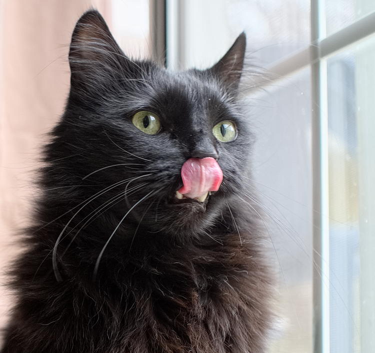 ddb 20131220 010-012